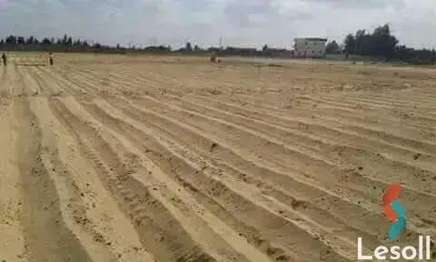 Land agriculture for sale with an area of 63000 meters in Tamiya Fayoum 