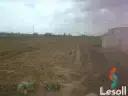 Land agriculture for sale with an area of 1050000 meters in Tamiya Fayoum  - Main Image