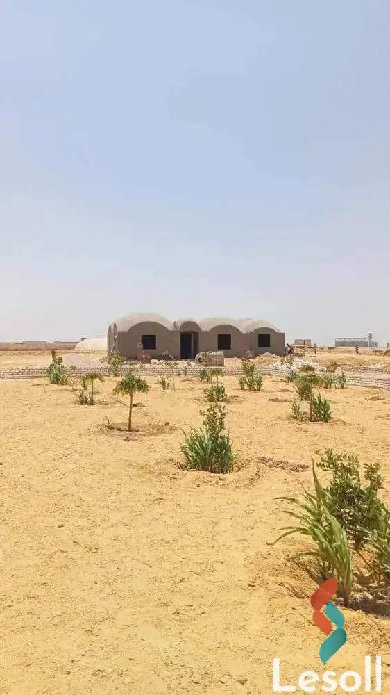 Land agriculture for sale with an area of 1050000 meters in Tamiya Fayoum  - Main Image