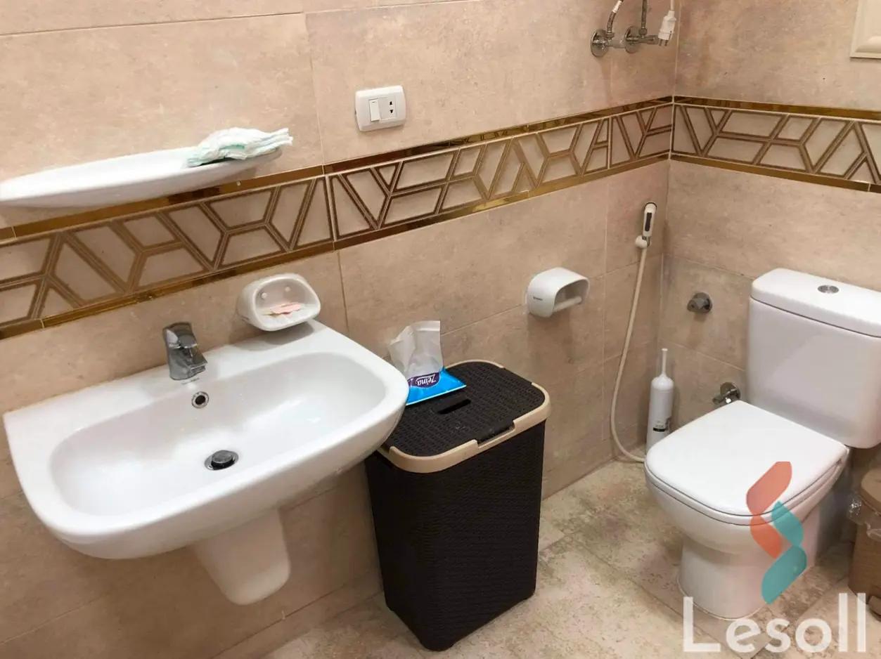 بنتهاوس للبيع بمساحة 220 متر و 3 غرف في  الدقى الجيزة