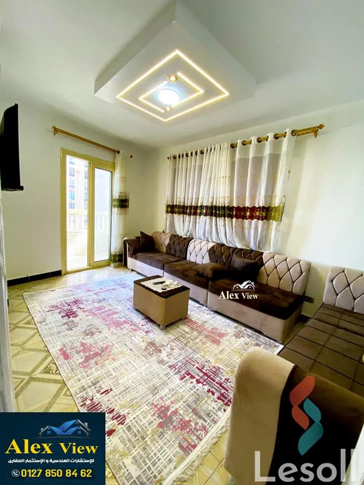 Apartment for monthly rent with an area 110 meters and 3 rooms in Snumberi Bishr Alexandria 