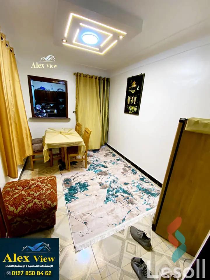 Apartment for monthly rent with an area 110 meters and 3 rooms in Snumberi Bishr Alexandria 
