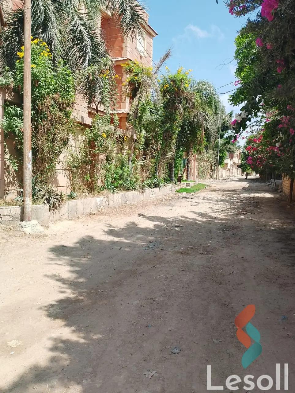 Building for sale with an area 328 meters in Ameria Alexandria  - All Images