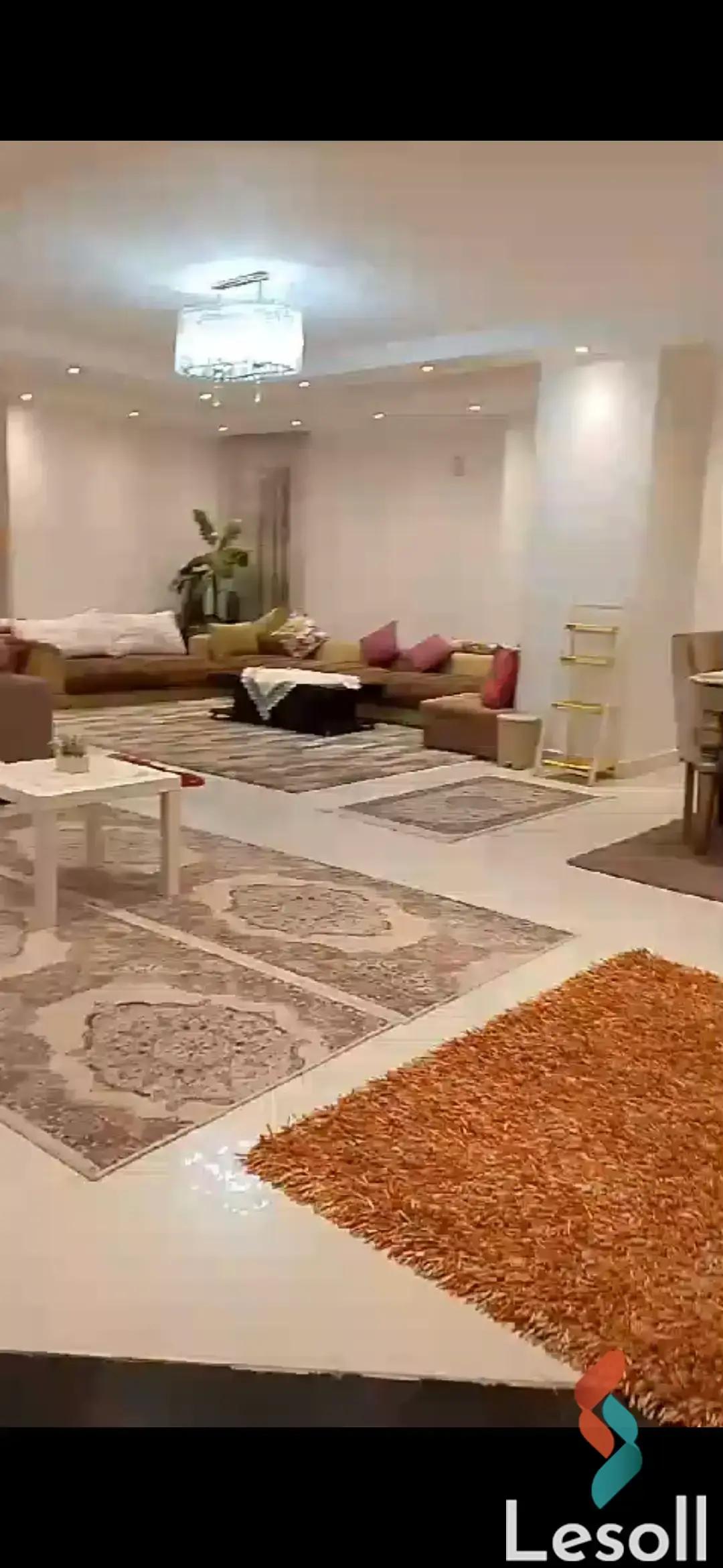 Apartment for sale with an area 270 meters and 3 rooms in  Nasr City Cairo 