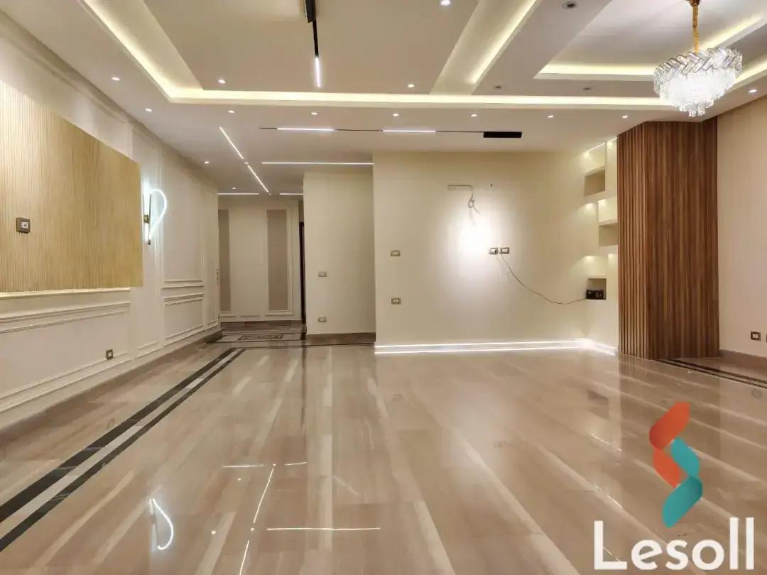 Apartment for sale with an area 250 meters and 3 rooms in  Nasr City Cairo 