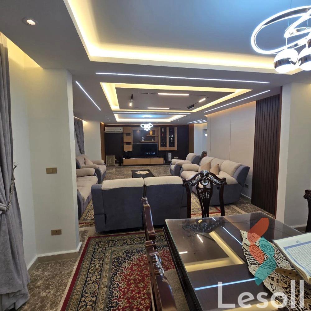Apartment for monthly rent with an area 270 meters and 3 rooms in Dokki Giza 