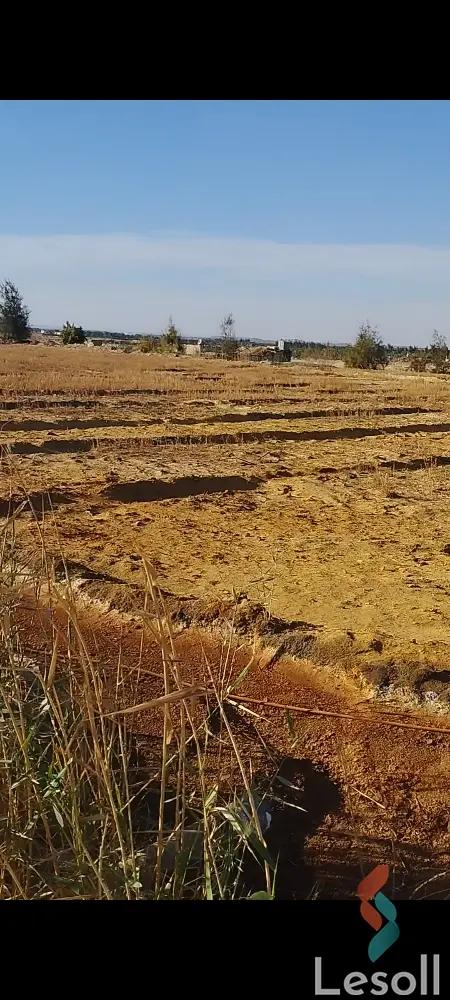 Agriculture for sale with an area 12,000 meters in Al Wahat Al Baharia Giza  - All Images