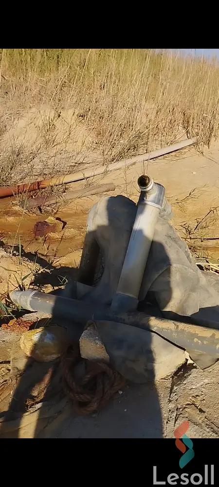 زراعية للبيع بمساحة 12,000 متر في الواحات البحرية الجيزة 