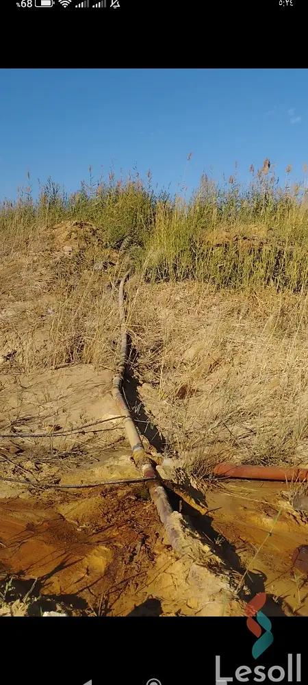 زراعية للبيع بمساحة 12,000 متر في الواحات البحرية الجيزة 