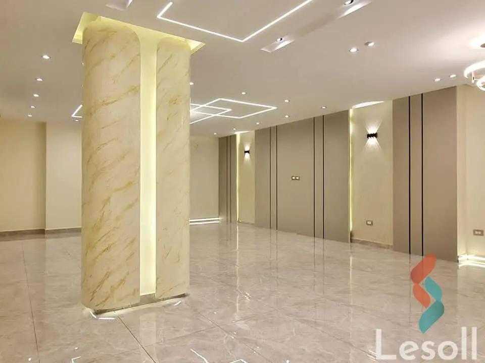 Apartment for sale with an area 250 meters and 3 rooms in  Nasr City Cairo  - All Images