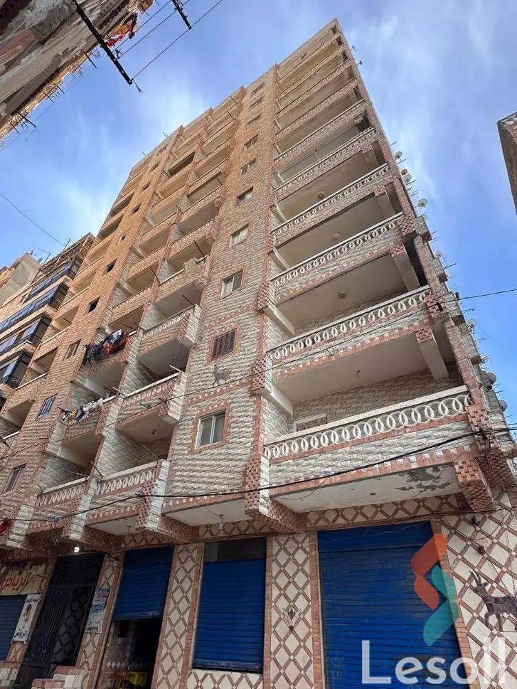 شقة للبيع بمساحة 80 متر و 3 غرف في  العجمي الاسكندرية - صورة 4