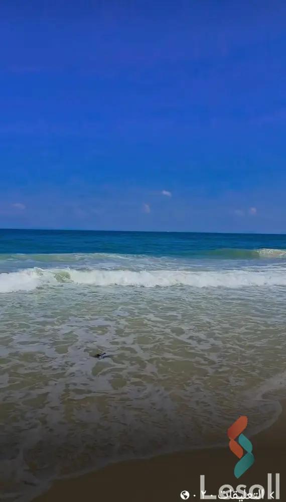 مبانى للبيع بمساحة 2,500,000 متر في العريش شمال سيناء 