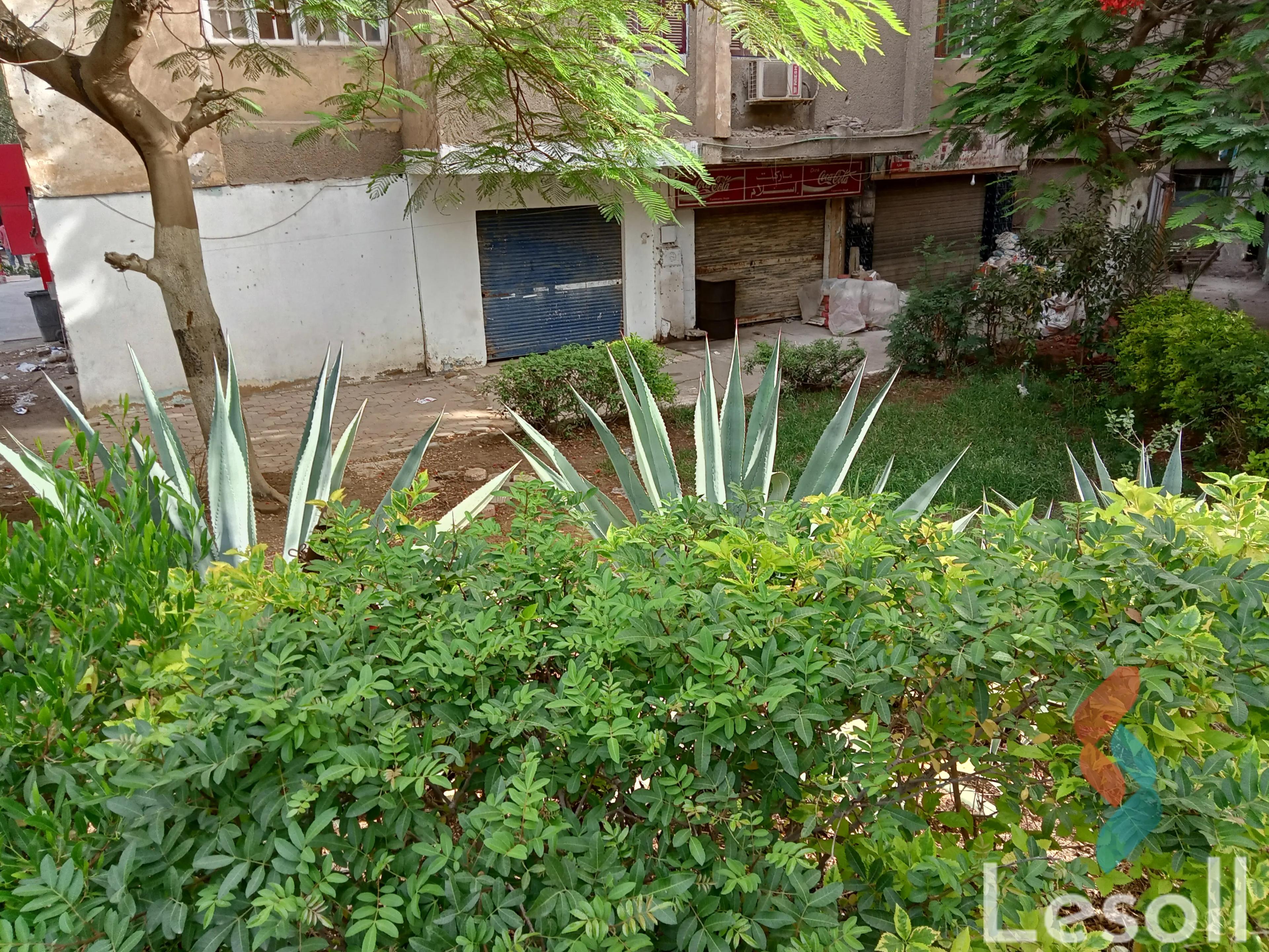 محل للبيع بمساحة 30 متر في القاهرة 