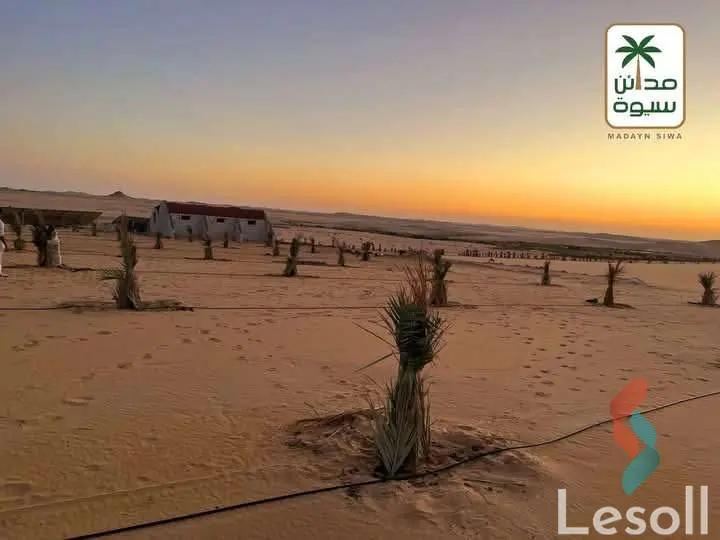 زراعية للبيع بمساحة 21,000 متر في سيوة مطروح 