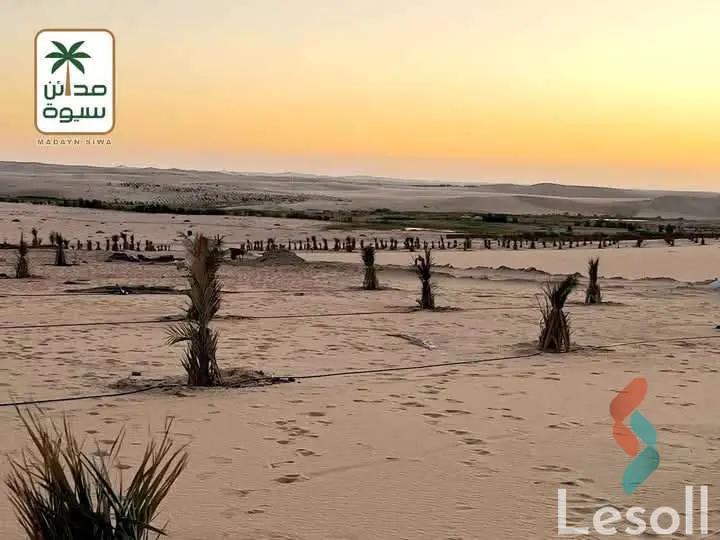 زراعية للبيع بمساحة 21,000 متر في سيوة مطروح 