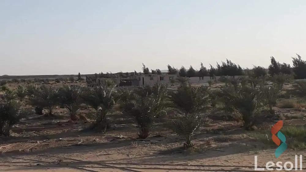 زراعية للبيع بمساحة 57,000 متر في الواحات البحرية الجيزة 