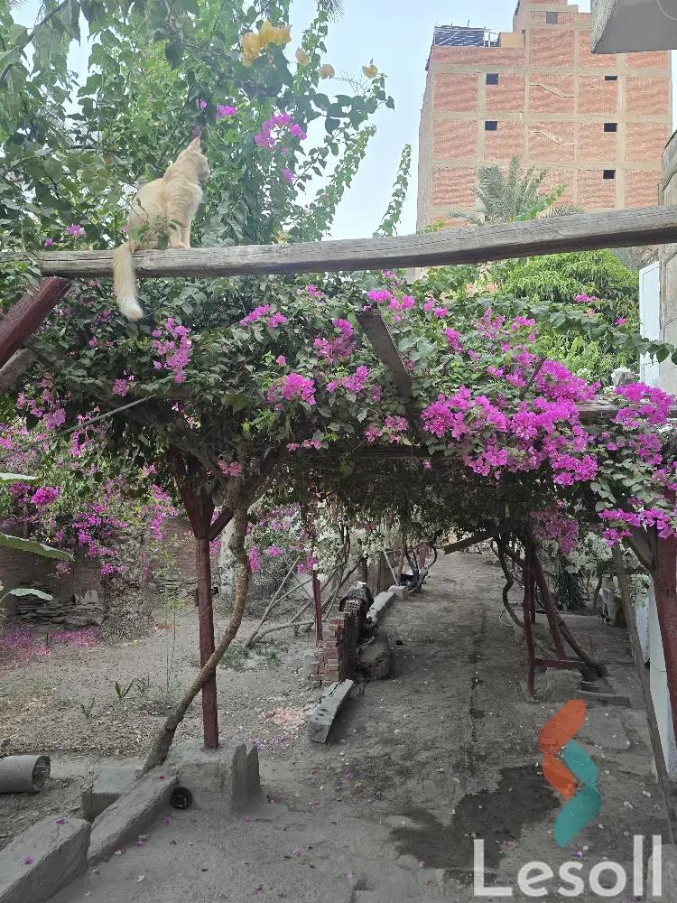 مبانى للبيع بمساحة 1,600 متر في حلوان القاهرة 