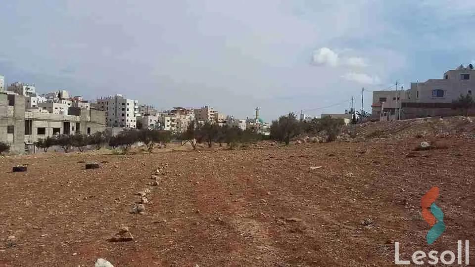 مبانى للبيع بمساحة 521 متر في مصر الجديدة القاهرة 