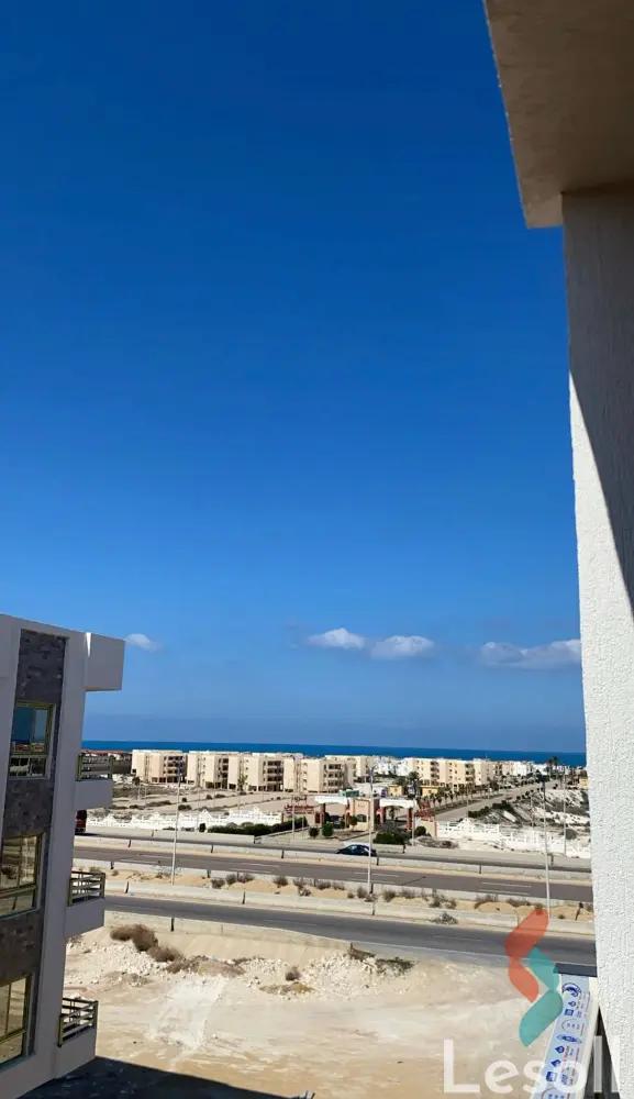 محل للبيع بمساحة 277 متر في الاسكندرية 