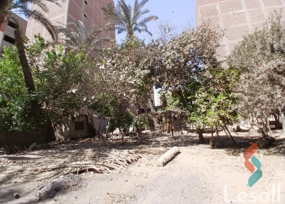 مبانى للبيع بمساحة 1,600 متر في حلوان القاهرة 
