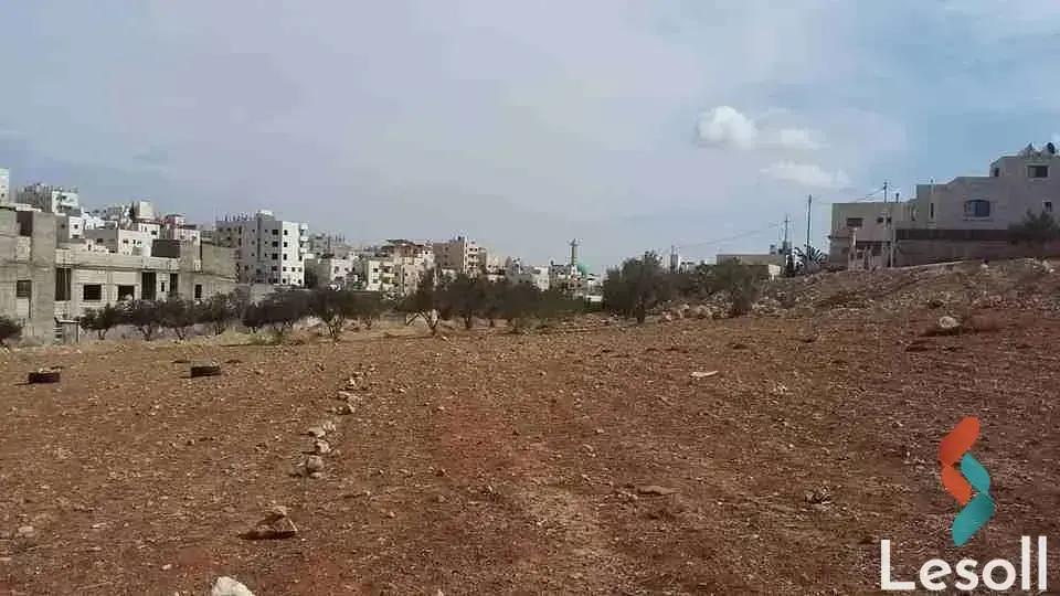 مبانى للبيع بمساحة 521 متر في مصر الجديدة القاهرة 