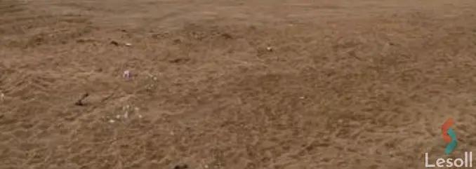 زراعية للايجار بمساحة 300 متر في الصف الجيزة 