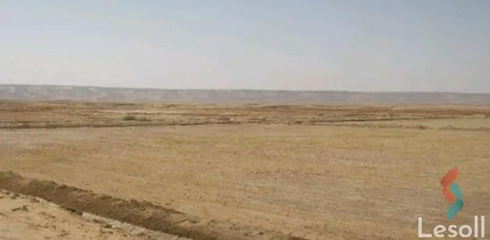 زراعية للايجار بمساحة 300 متر في الصف الجيزة 