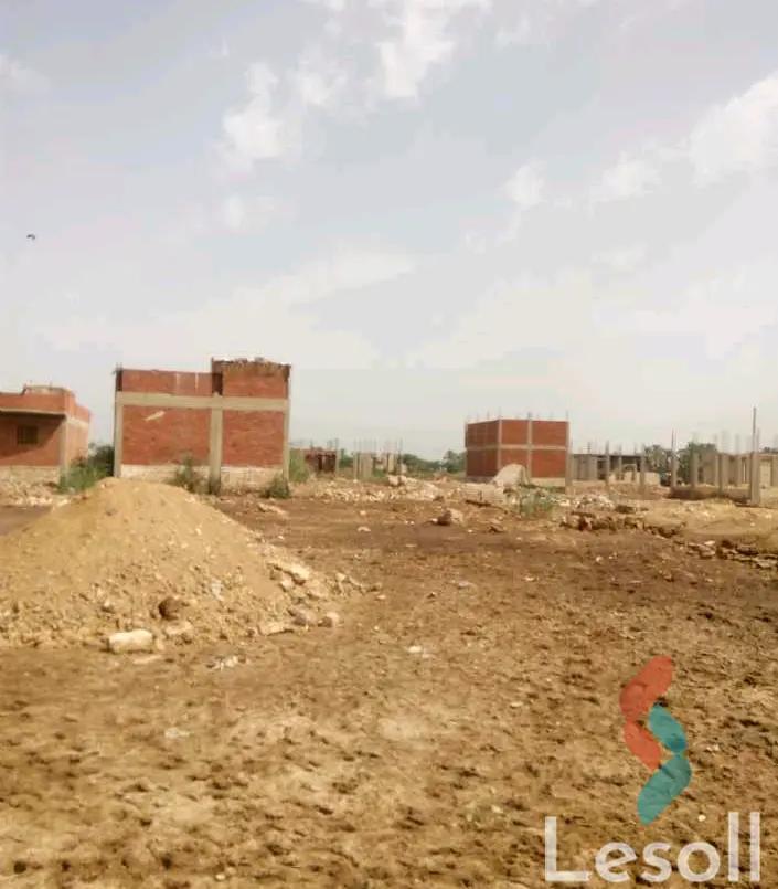 زراعية للايجار بمساحة 300 متر في الصف الجيزة 