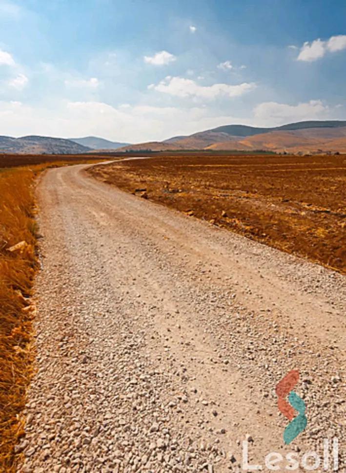 زراعية للايجار بمساحة 300 متر في الصف الجيزة 