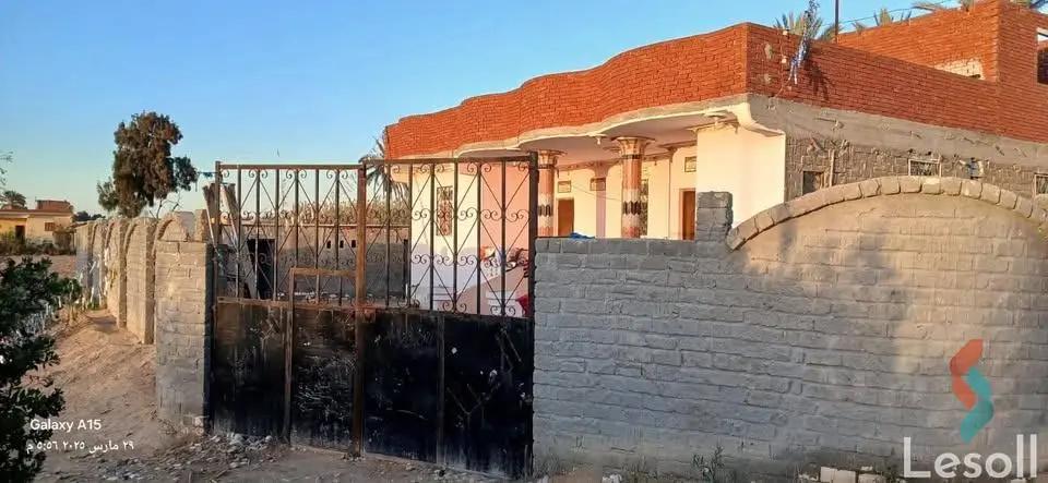 زراعية للبيع بمساحة 6,301 متر في العامرية الاسكندرية 