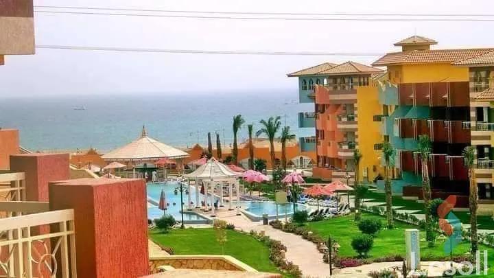 شالية للايجار اليومي بمساحة 50 متر و غرفة واحدة في العين السخنة السويس