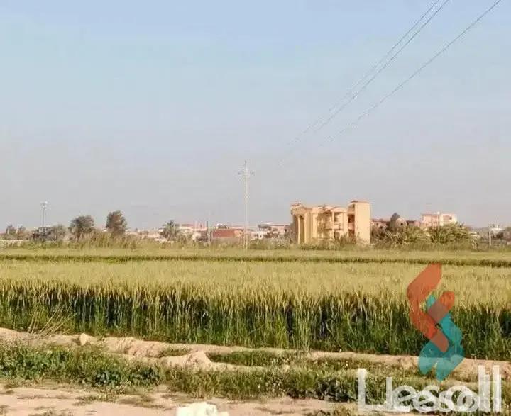 زراعية للبيع بمساحة 2,100 متر في العامرية الاسكندرية 