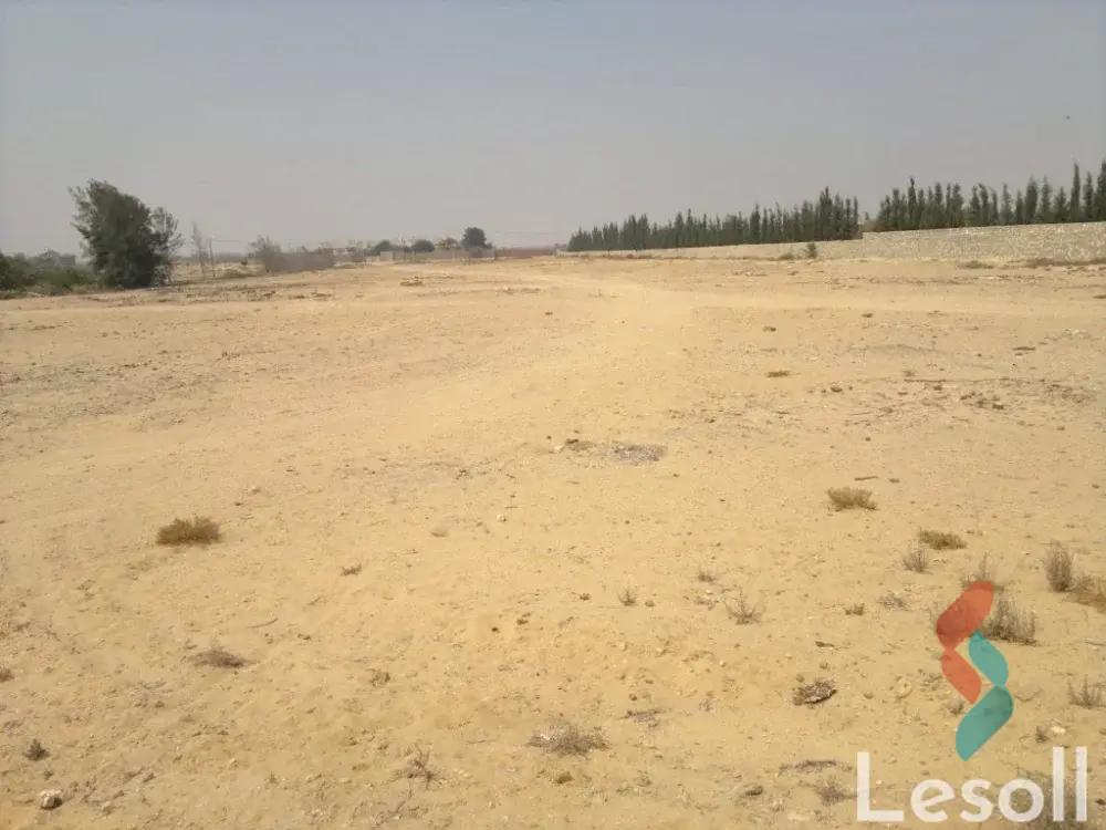 ارض مبانى للبيع بمساحة 2,600 متر في الشيخ زايد الجيزة 