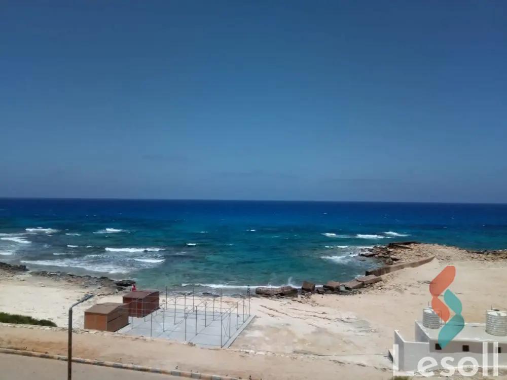 شقة للايجار اليومي بمساحة 60 متر و غرفة واحدة في مرسى مطروح مطروح