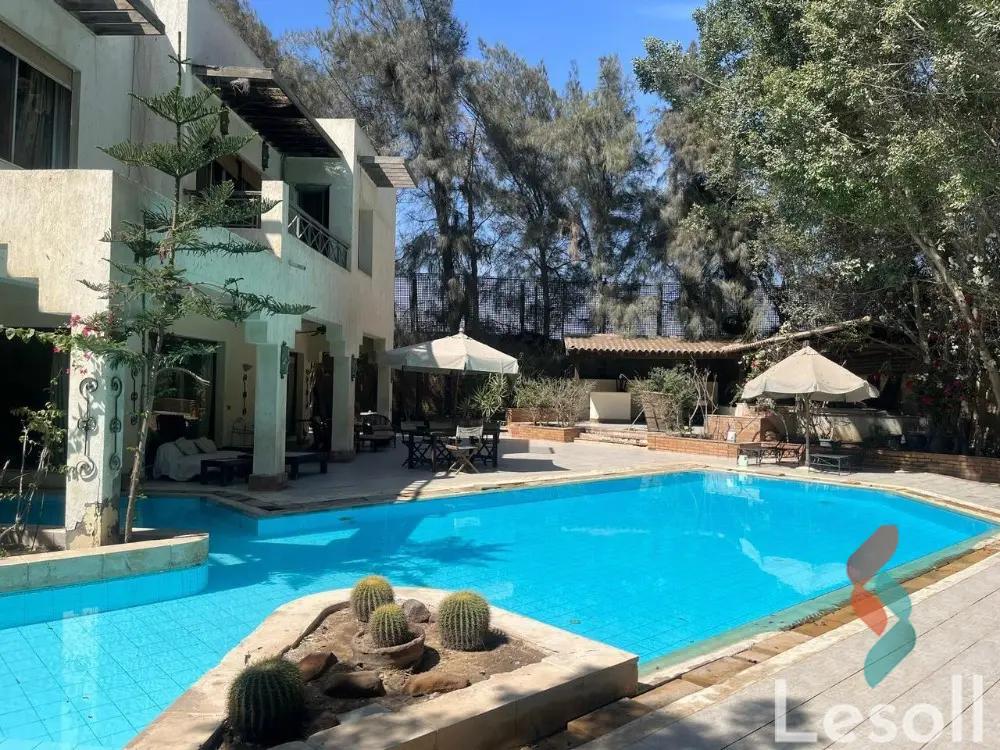 بنتهاوس للبيع بمساحة 500 متر و 6 غرف في  الشيخ زايد الجيزة