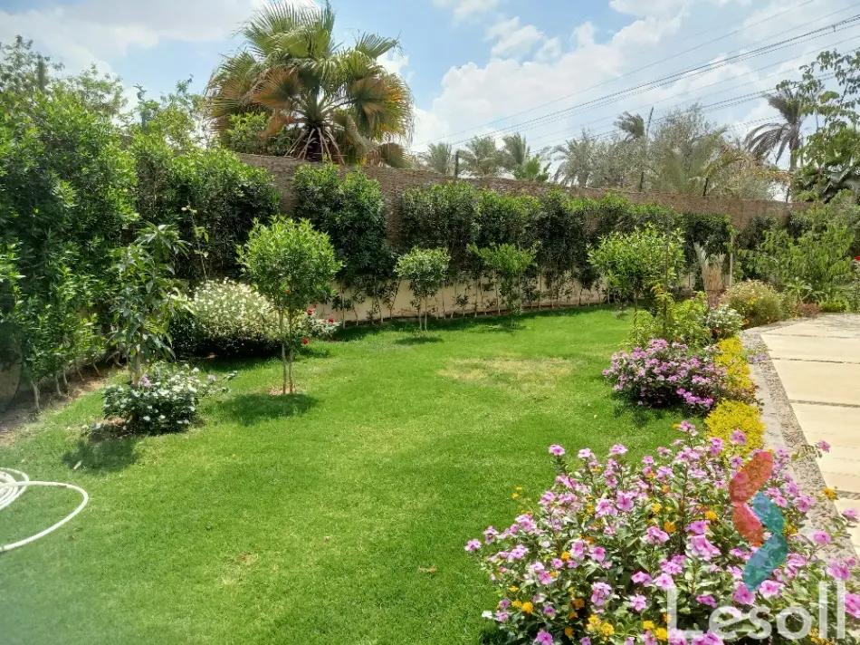 توين هاوس للبيع بمساحة 763 متر و 7 غرف في  6 اكتوبر الجيزة