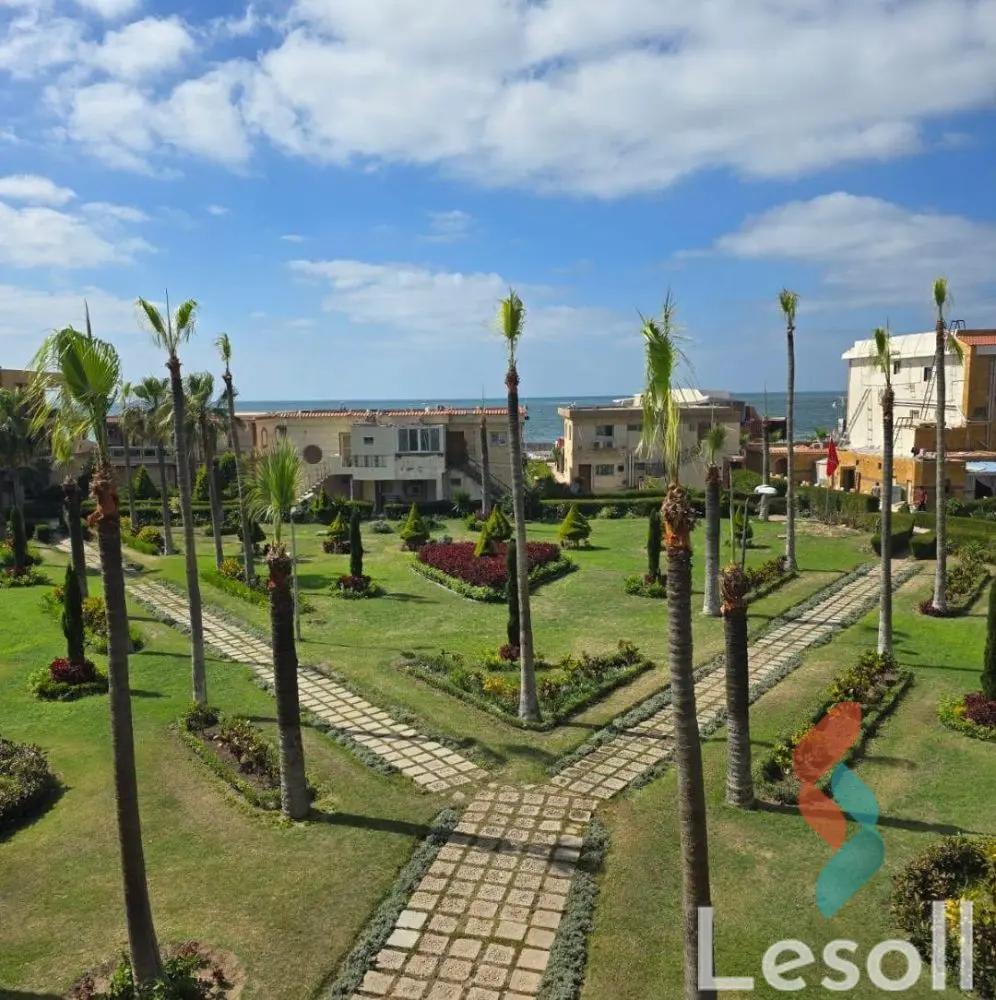 شالية للايجار اليومي بمساحة 80 متر و غرفتان في المعمورة الاسكندرية