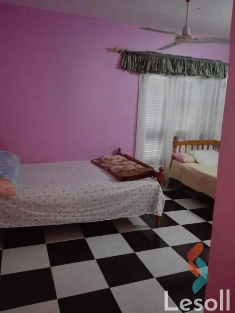 Apartment for daily rent with an area 110 meters and 2 room in Agamy Alexandria 