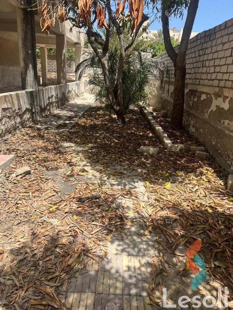 ارض مبانى للبيع بمساحة 411 متر في العجمي الاسكندرية 
