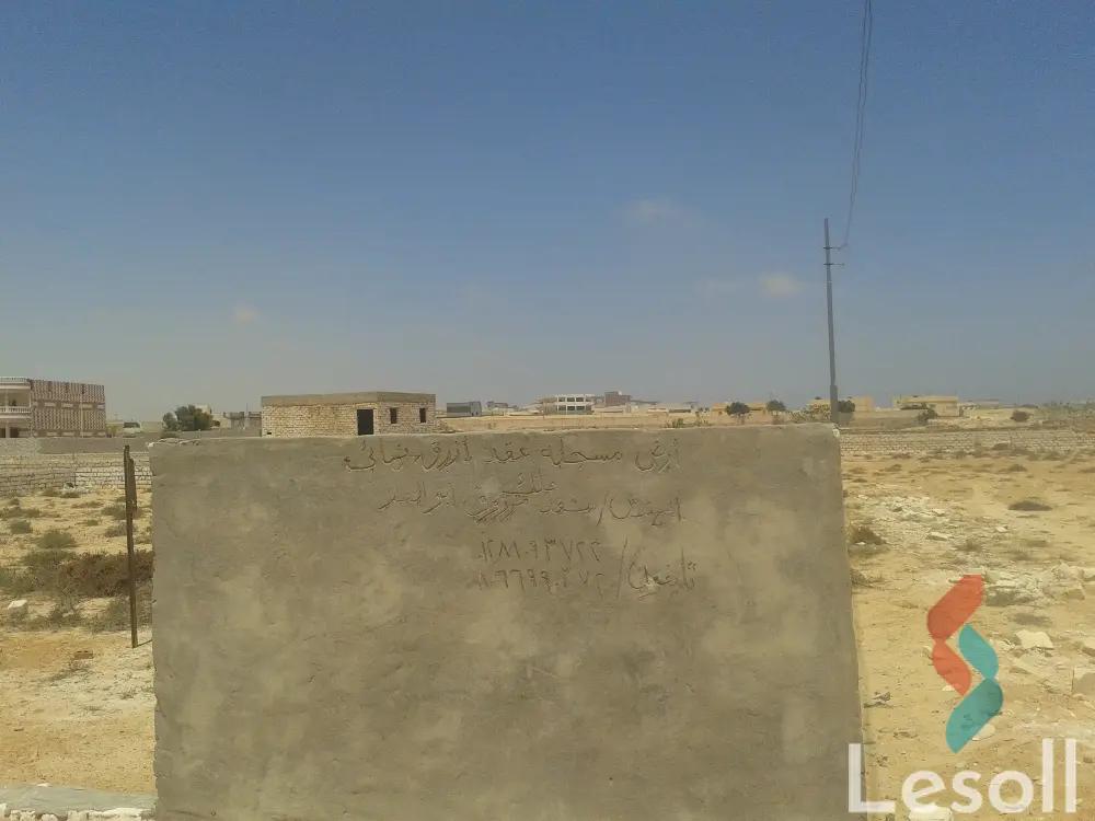 ارض مبانى للبيع بمساحة 800 متر في مرسى مطروح مطروح 