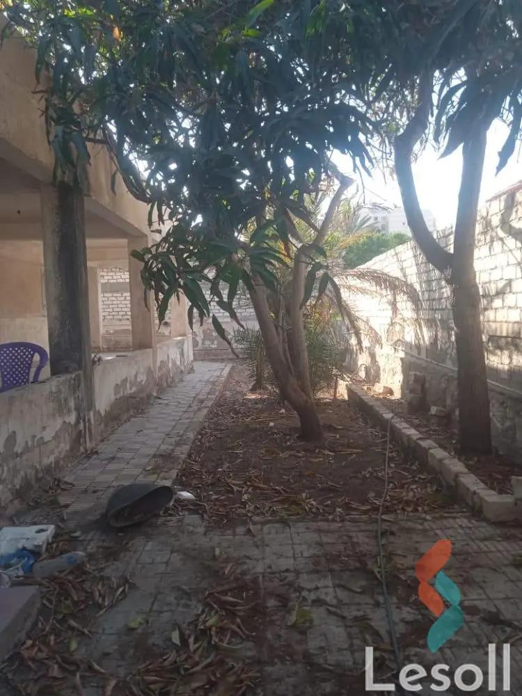 ارض مبانى للبيع بمساحة 411 متر في العجمي الاسكندرية 