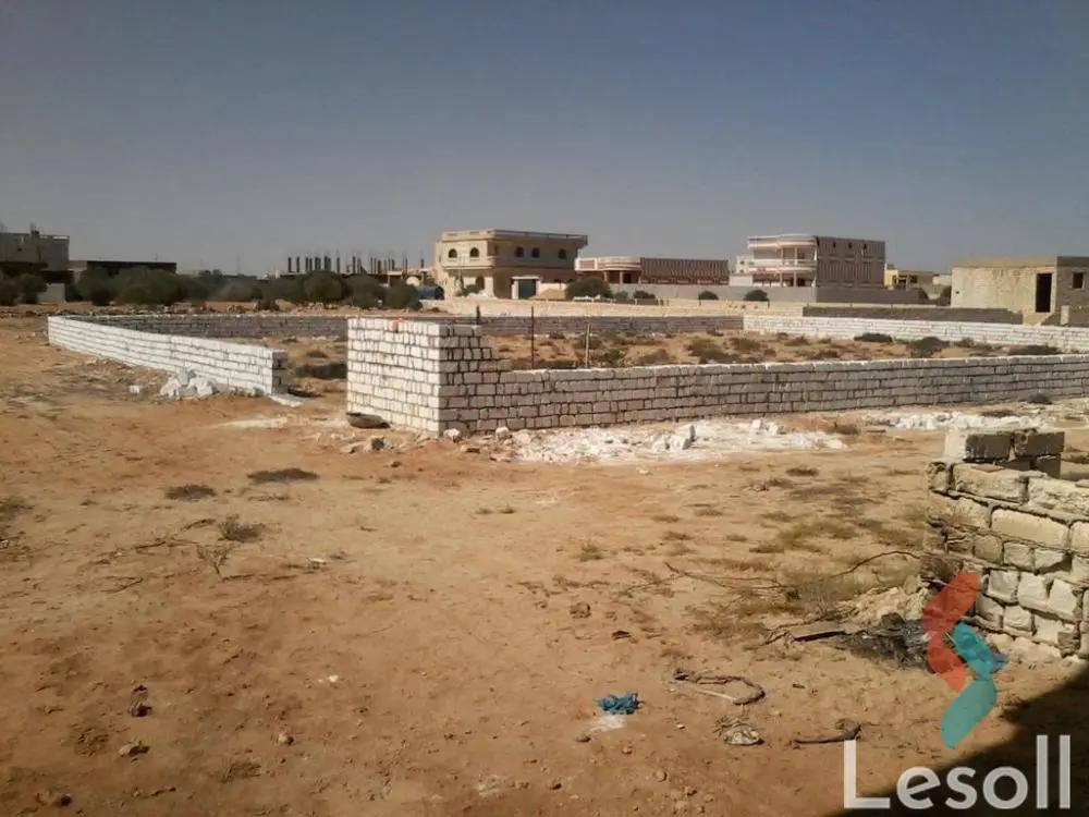 ارض مبانى للبيع بمساحة 800 متر في مرسى مطروح مطروح 