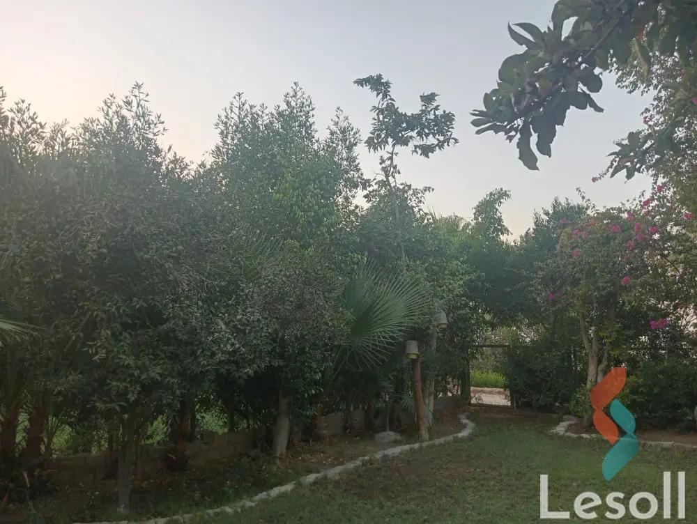 تاون هاوس للبيع بمساحة 255 متر و 3 غرف في  مدينة الشروق القاهرة