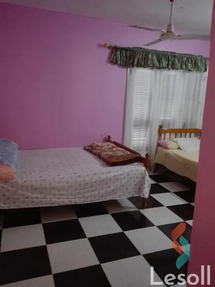 Apartment for daily rent with an area 110 meters and 2 room in Agamy Alexandria 