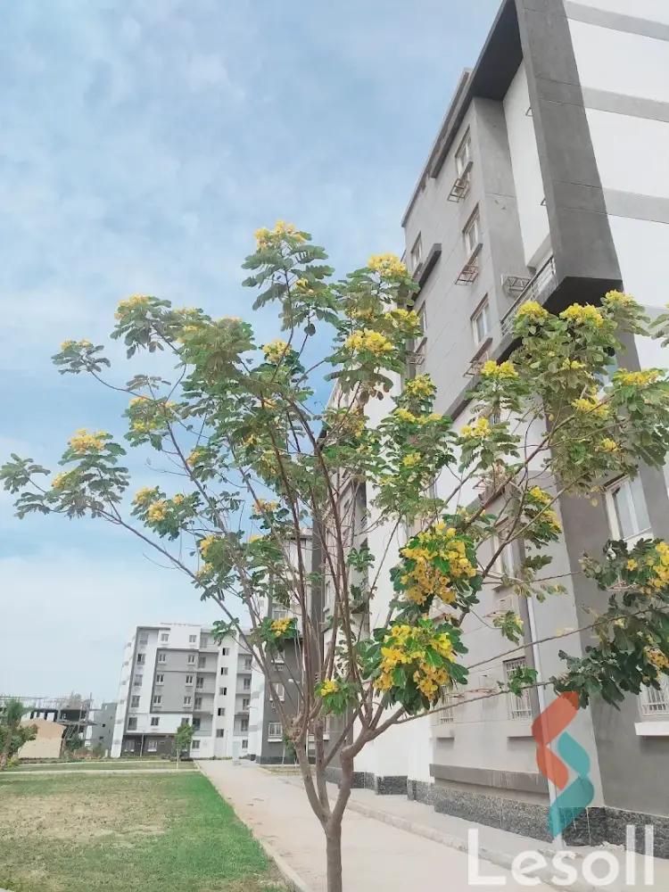 شقة للبيع بمساحة 106 متر و 3 غرف في  6 اكتوبر الجيزة