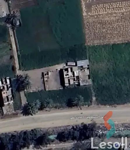 ارض زراعية للبيع بمساحة 700 متر في ميت غمر الدقهلية  - كل الصور
