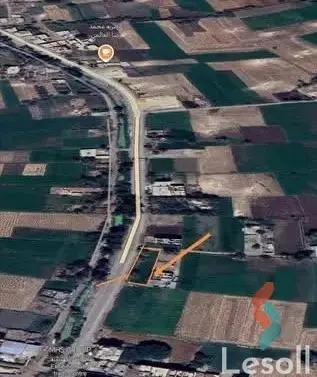 ارض زراعية للبيع بمساحة 700 متر في ميت غمر الدقهلية 