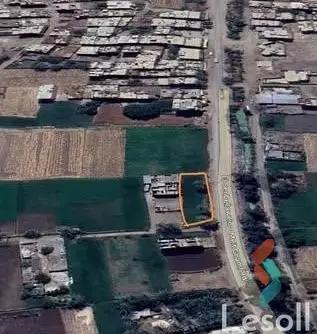 ارض زراعية للبيع بمساحة 700 متر في ميت غمر الدقهلية 