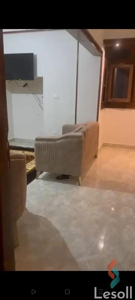 Apartment for daily rent with an area 250 meters and 2 room in Nasr City Cairo  - All Images