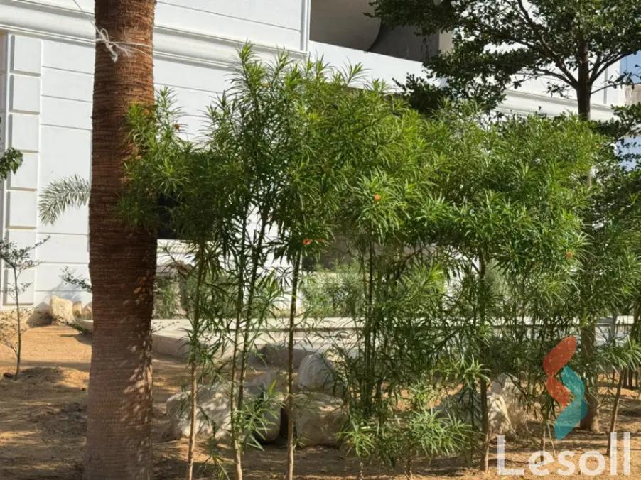 فيلا للبيع بمساحة 6,300 متر و 6 غرف في  ميدان الجيزة الجيزة